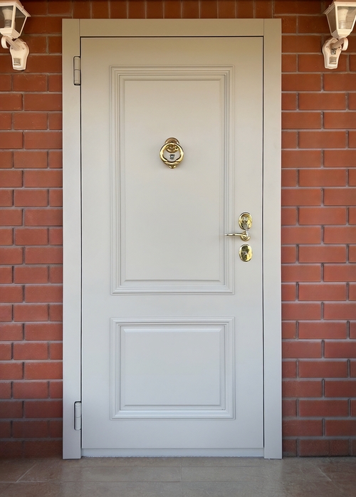 Белая стальная дверь с панелью МДФ окрас по RAL